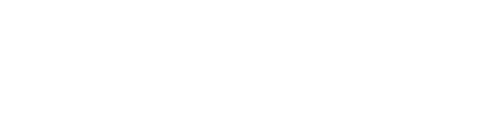 Dev.Play Logo