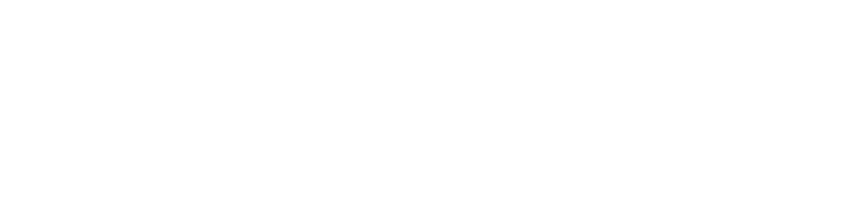 Dev.Play Logo
